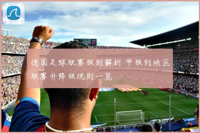 德国足球联赛级别解析 甲级到地区联赛升降级规则一览